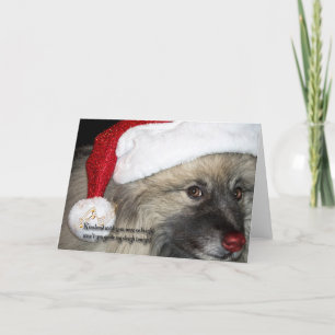 Rote Nasekeeshond-Weihnachtskarte Feiertagskarte