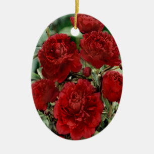Rote Nelke Blume Ornament