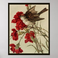 Rote Nelken und Songbird-Poster