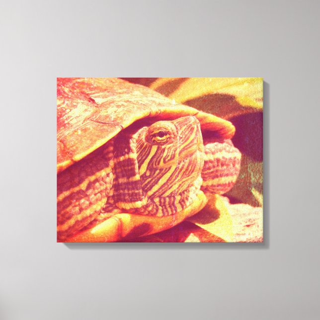 Rote Ohr-Slider-Schildkröte Leinwanddruck (Vorderseite)