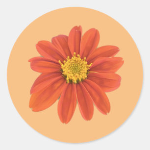 Rote Orange-Blume Runder Aufkleber