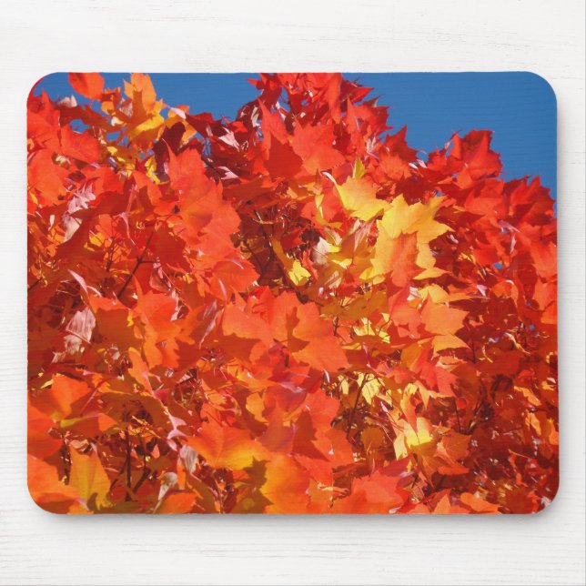Rote Orange Herbstblätter fallen blauer Himmel Mousepad (Vorne)