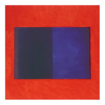 Rote Orange in blau