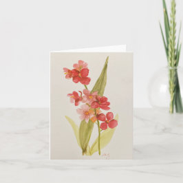 Rote Orchid-Faltkarte