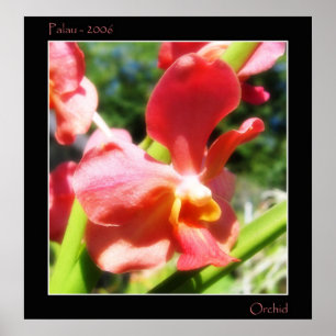 Rote Orchidee Poster