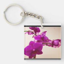 Rote Orchidee
