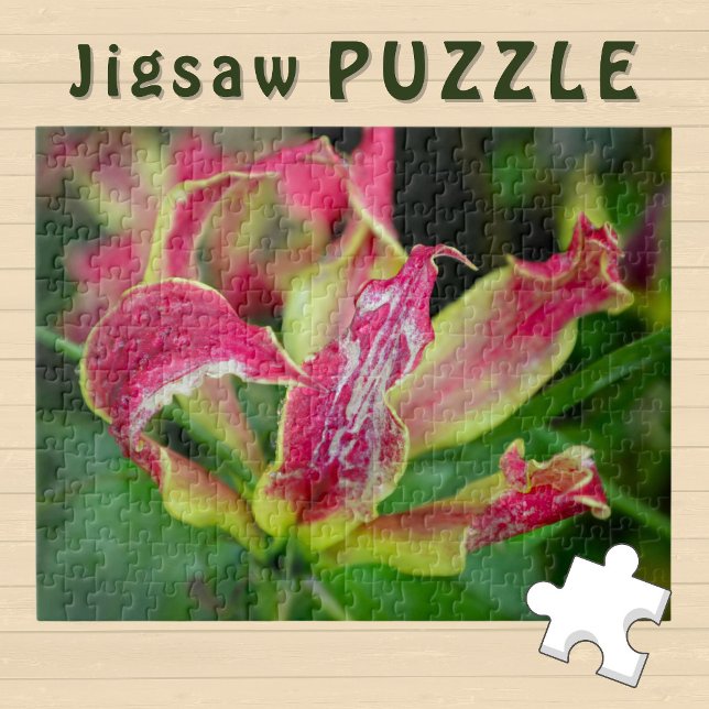 Rote Orchideenblüte blühende ästhetische Foto -  Puzzle (Von Creator hochgeladen)
