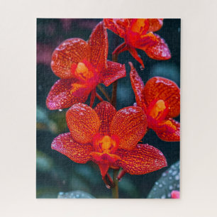 Rote Orchideenblüte Puzzle