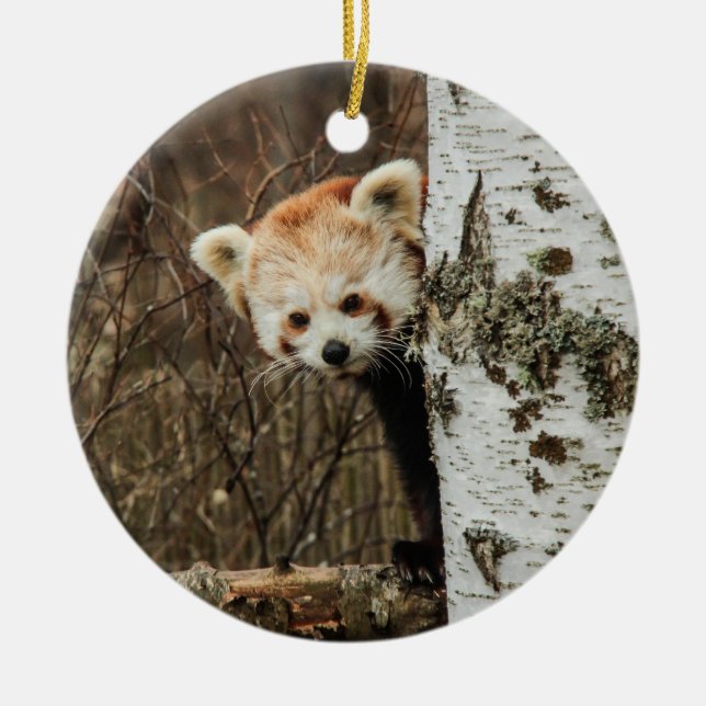 Rote Panda Keramikornament (Vorne)