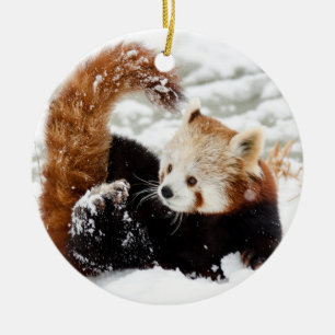 Rote Panda Spielen in der Schnee Keramik Ornament