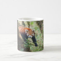 Rote Panda-Tasse