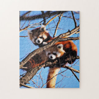 rote Pandas Puzzle