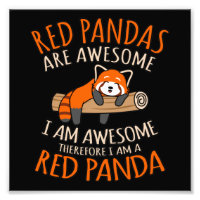 Rote Pandas sind Phantastische Niedliche Panda für