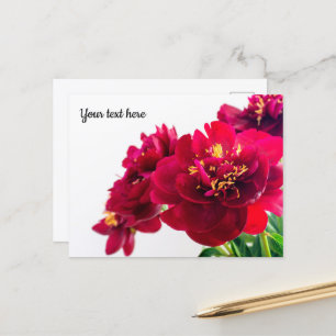 Rote Päonien-Postkarte Postkarte