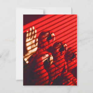 Rote Papageien und eine Hand Postkarte