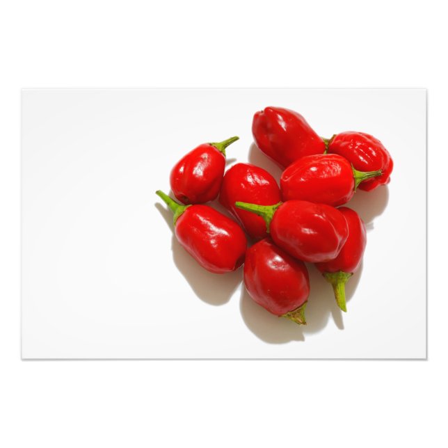 Rote Paprikaschoten Fotodruck (Vorne)