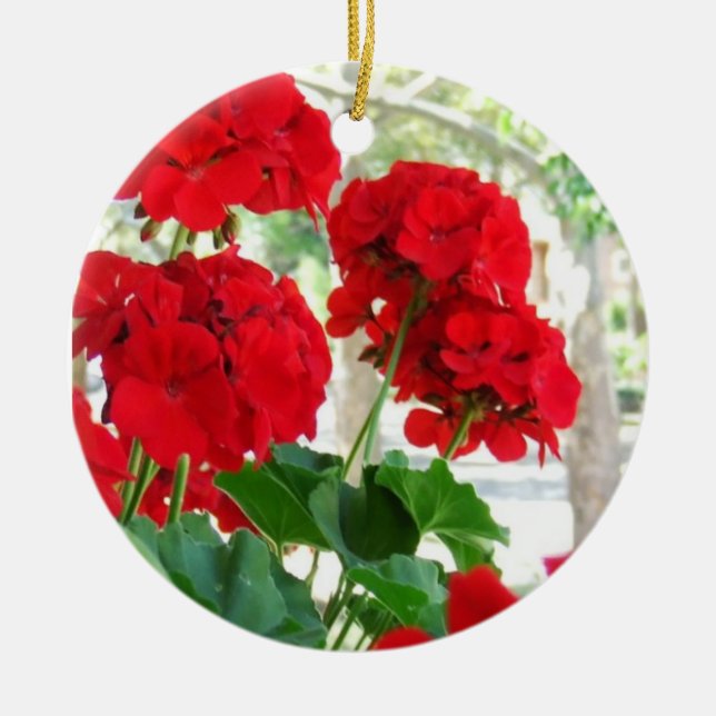 Rote Pelargonie-Blumen-Verzierung Keramikornament (Vorne)