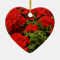 Rote Pelargonie-Verzierung