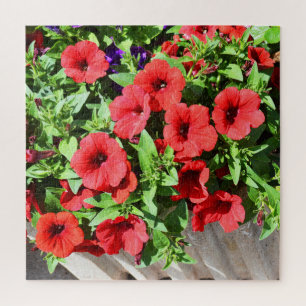 Rote Petunia-Blume Puzzle