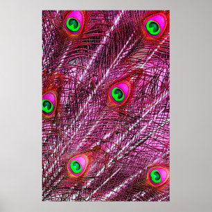 Rote Pfauenfedern fallen ab Poster