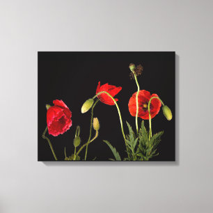 Rote Pflaumen auf schwarzen Leinwand