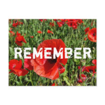 Rote Pflaumen Postkarte