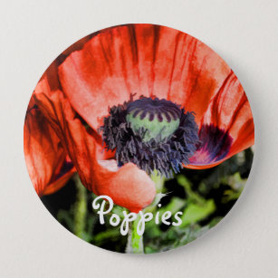 Rote Pflaumen & Stamen Blume Florenz Button