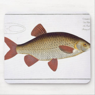 Rote Platte I des Karpfens (Cyprinus Mousepad