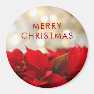 Rote Poinsettias mit goldenem Bokeh Weihnachten Magnet