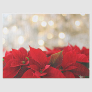 Rote Poinsettias mit schimmernder goldener Beleuch Seidenpapier