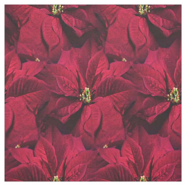 Rote Poinsettias Stoff (Muster)