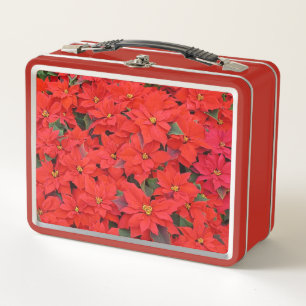 Rote Poinsettien I Weihnachtsflorales Foto Metall Brotdose