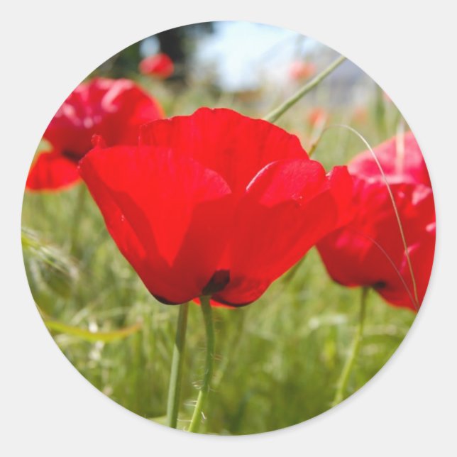 ROTE POPPIES STICKER FÜR ENVELOPEN (Vorderseite)