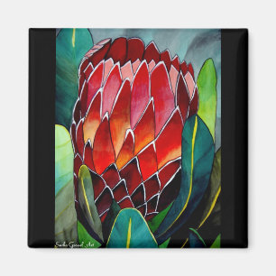 Rote Protea Aquarellfarben Blume Originale Kunst Magnet