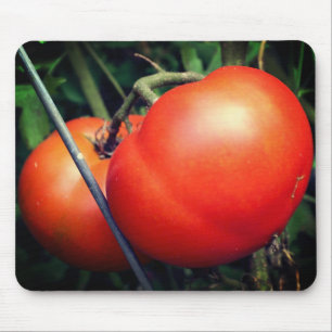 Rote, reife Tomaten auf der Weinnatur Mousepad