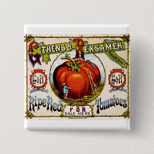 Rote reife Tomaten zu verkaufen - Vintage-Anzeige Button