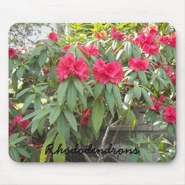 Rote Rhododendren Mousepad (Vorne)