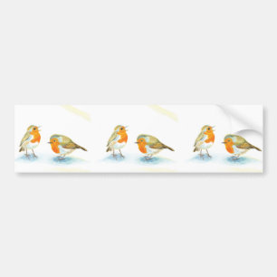 Rote Robins im Winter Autoaufkleber