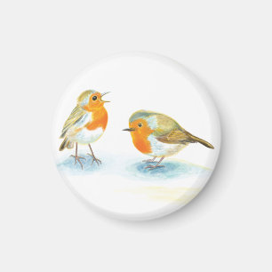 Rote Robins im Winter Magnet