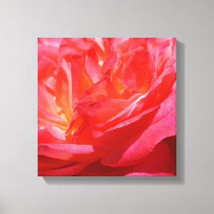 Rote rosa Leinwand Kunst Drucke Rosen Blumen
