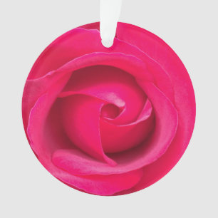 Rote Rosa Rose Ornament