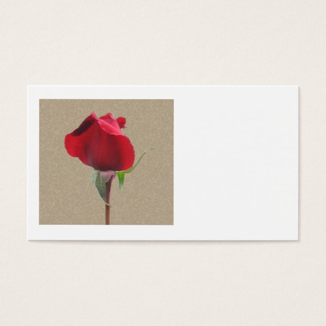 Rote Rose (Vorderseite)
