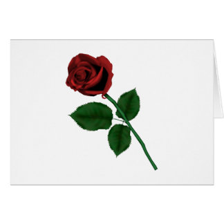 Rote Rose