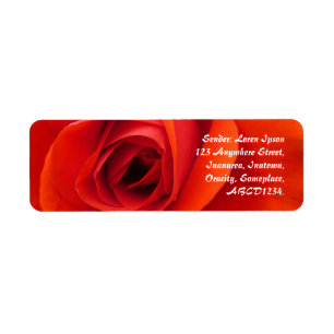 Rote Rose