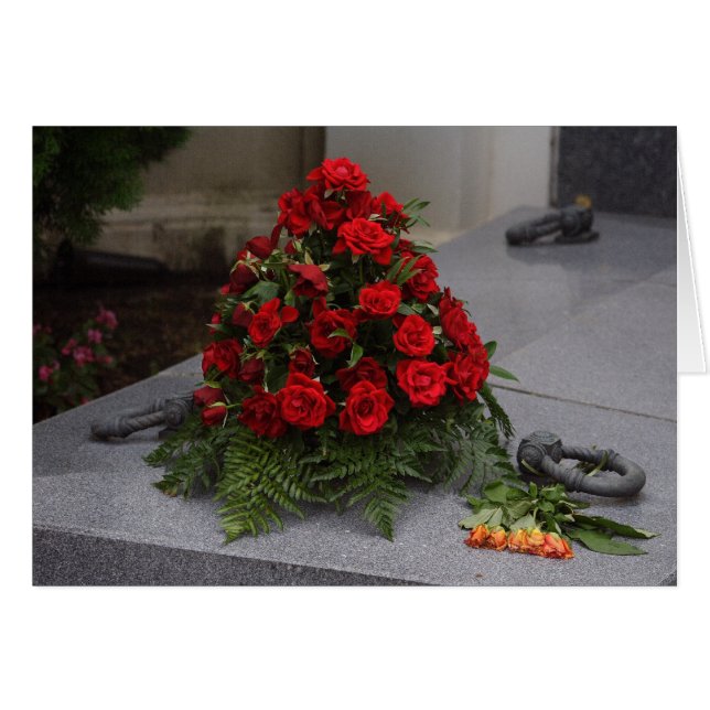 Rote Rose (Vorderseite (Horizontal))