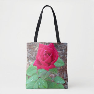 Rote Rose