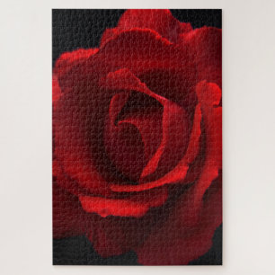 Rote Rose 20x30 1014pc jpcna Puzzle