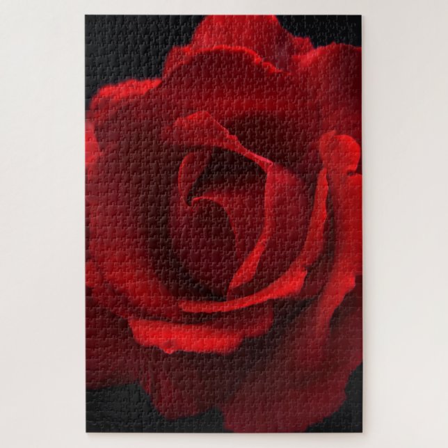Rote Rose 20x30 1014pc jpcna Puzzle (Vertikal)