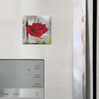 Rote Rose 2 Magnet