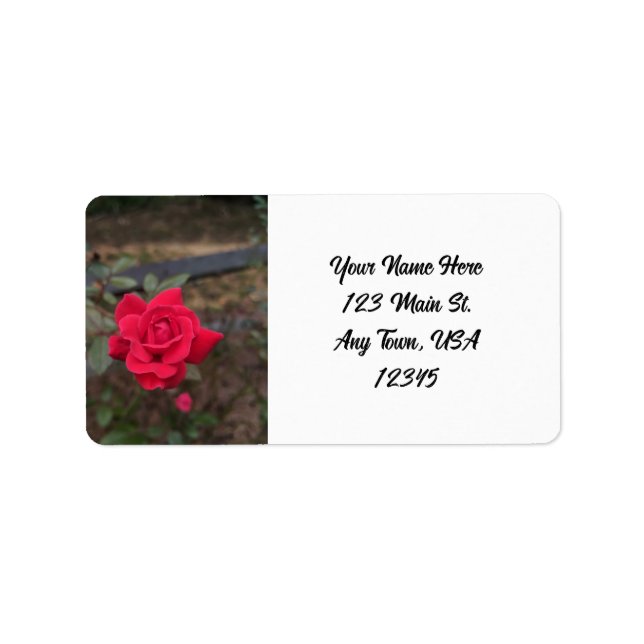 Rote Rose Adressaufkleber (Vorne)